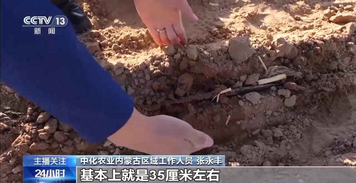 春意浓农事兴 多地春耕春播有序进行中
