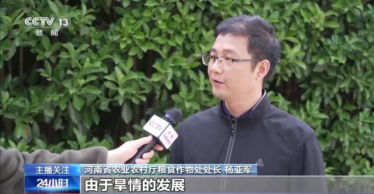 春意浓农事兴 多地春耕春播有序进行中(图6)