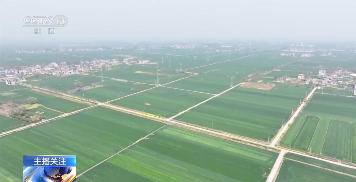 春意浓农事兴 多地春耕春播有序进行中(图10)