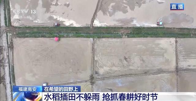北斗导航智能农机遍地跑 各地早稻插秧进行时(图1)