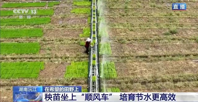 北斗导航智能农机遍地跑 各地早稻插秧进行时(图3)