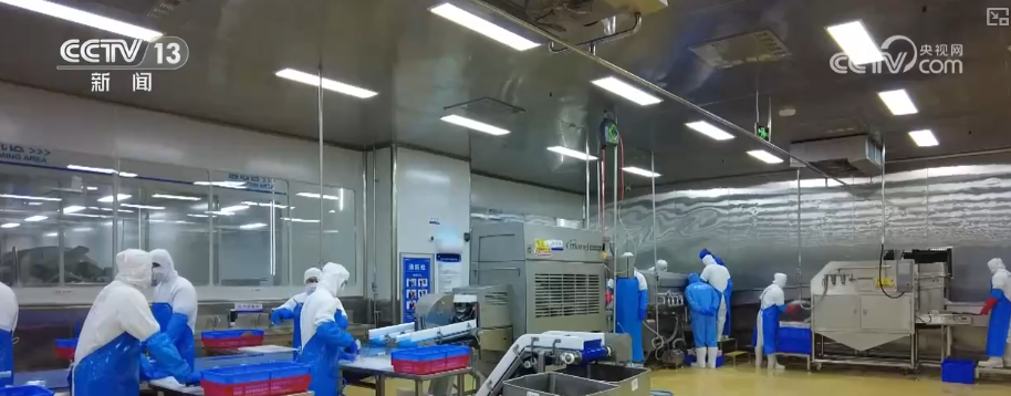 科技“锁鲜”赋能抢“鲜”生意竞速跑 天山脚下美味成百姓餐桌上“常客”(图13)