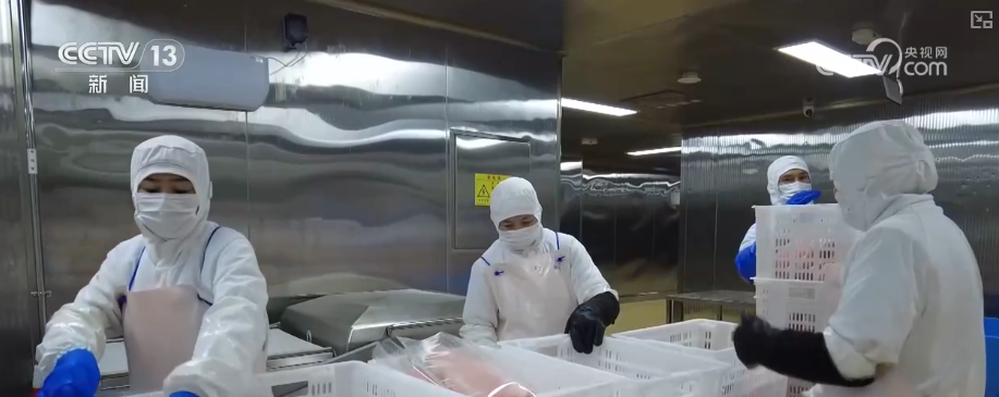 科技“锁鲜”赋能抢“鲜”生意竞速跑 天山脚下美味成百姓餐桌上“常客”(图15)