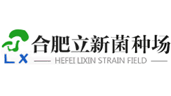 合肥立新菌工厂