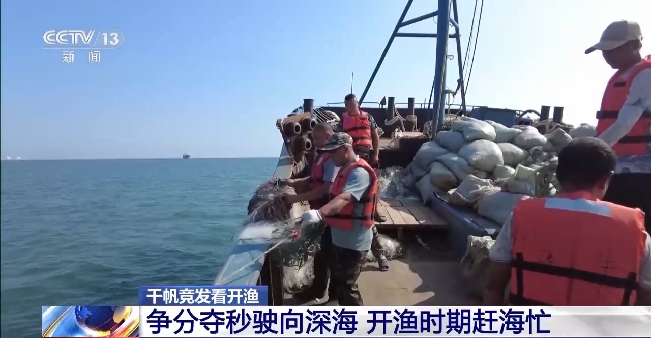 开渔期赶海忙 鲜活海产“游”进市场