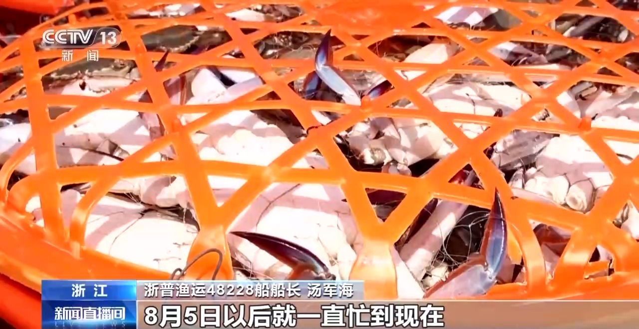 开渔期赶海忙 鲜活海产“游”进市场(图7)