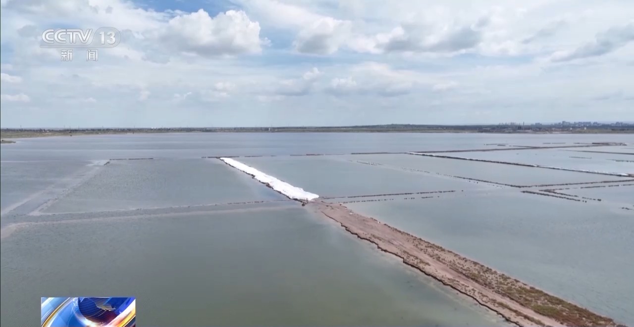 开渔期赶海忙 鲜活海产“游”进市场(图14)