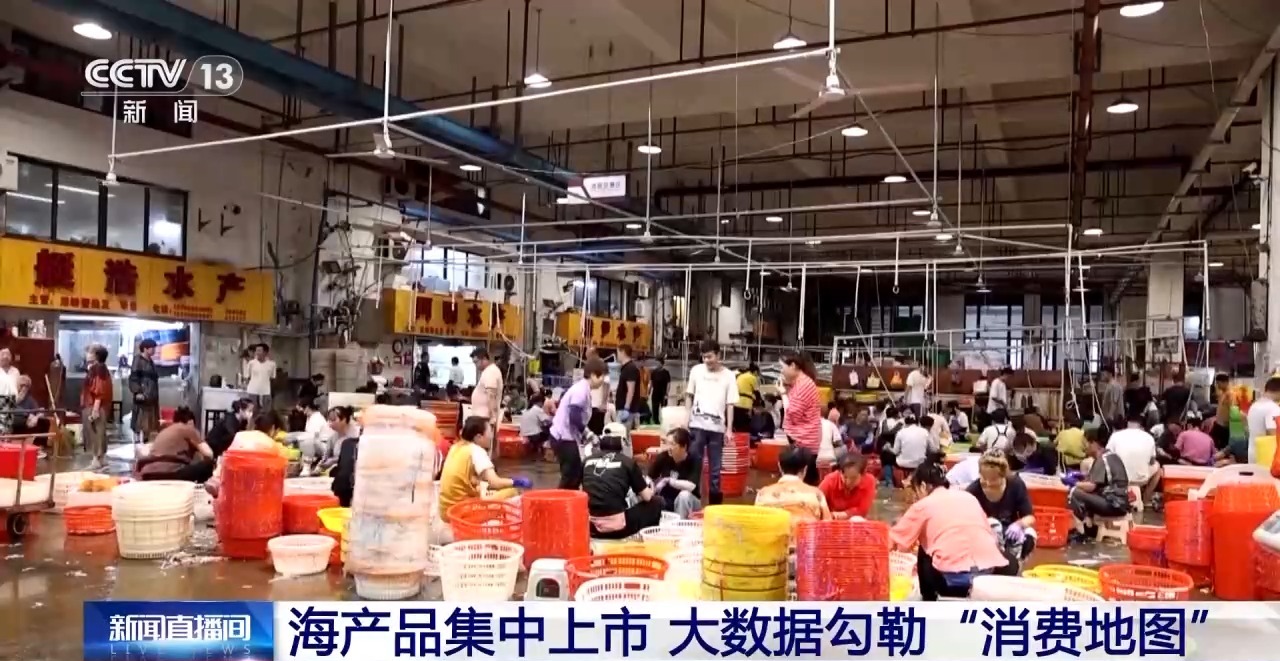 开渔期赶海忙 鲜活海产“游”进市场(图15)