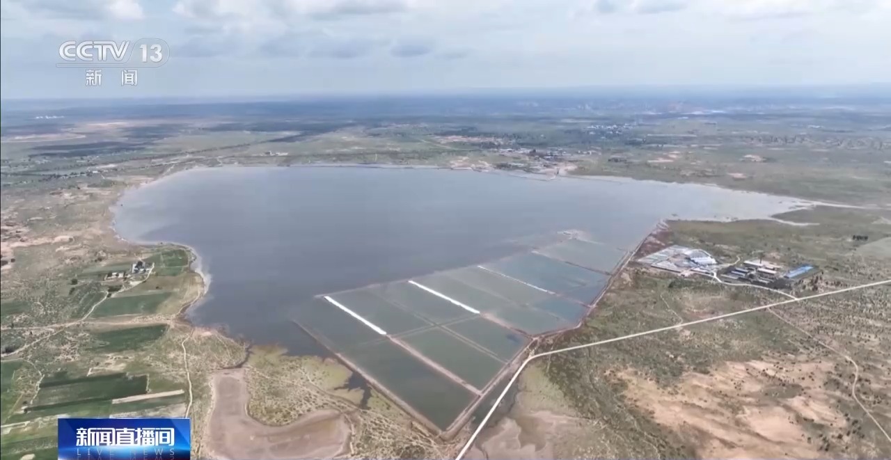 开渔期赶海忙 鲜活海产“游”进市场(图12)