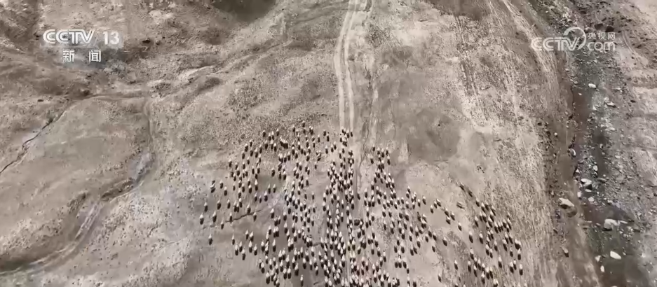 定位项圈、手持机……秋季转场满满“科技范儿” 畜牧更安全(图2)