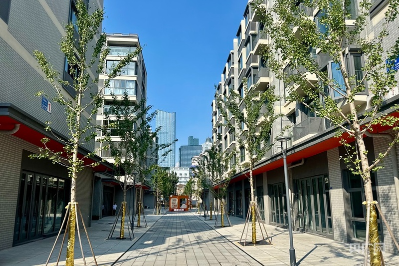 老城蝶变向新而行 探索城市更新“南京模式”(图2)