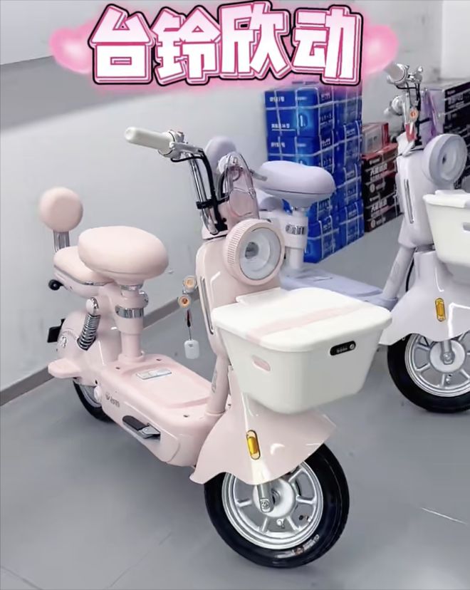 雅迪、绿源、台铃新标车都长啥样？没脚踏用铅酸能定位涨了多少钱？(图3)