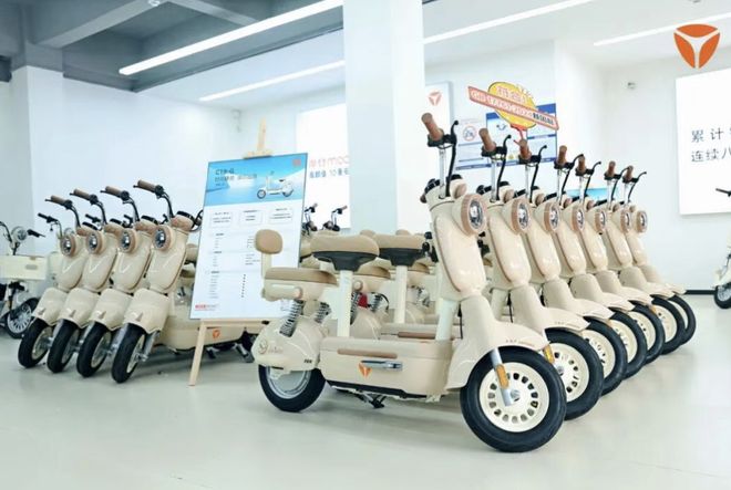 雅迪、绿源、台铃新标车都长啥样？没脚踏用铅酸能定位涨了多少钱？(图7)