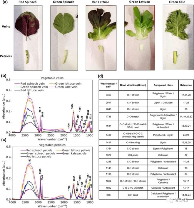 中国卫星改变世界？(图3)
