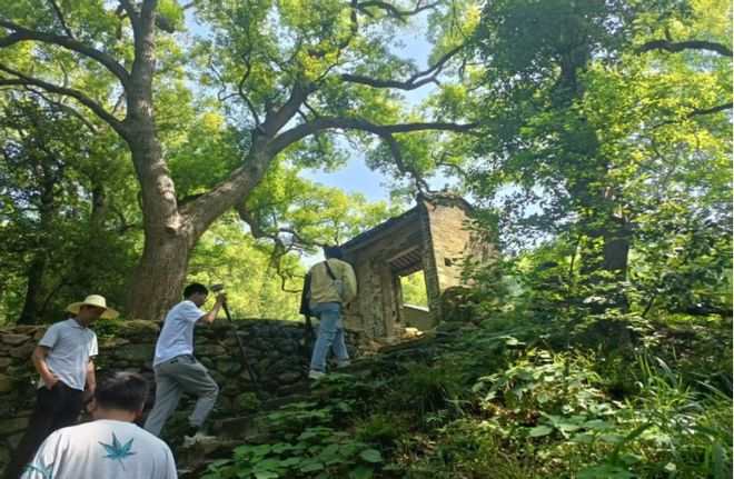 文脉寻踪庐山“四普”交出精彩答卷！(图2)