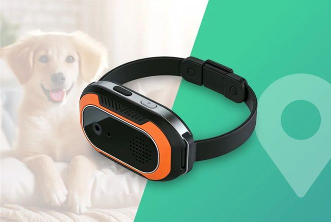 会员动态丨热烈欢迎广州市正唐信息科技有限公司成为省促进会会员单位(图6)