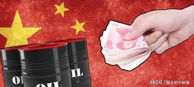 30国联合出手美国介入伊朗爆发全国抗议中国或成救命稻草(图15)