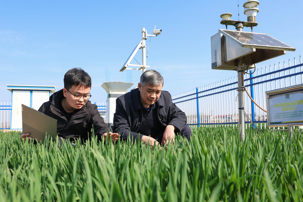 “鱼米之乡”万象新(图3)