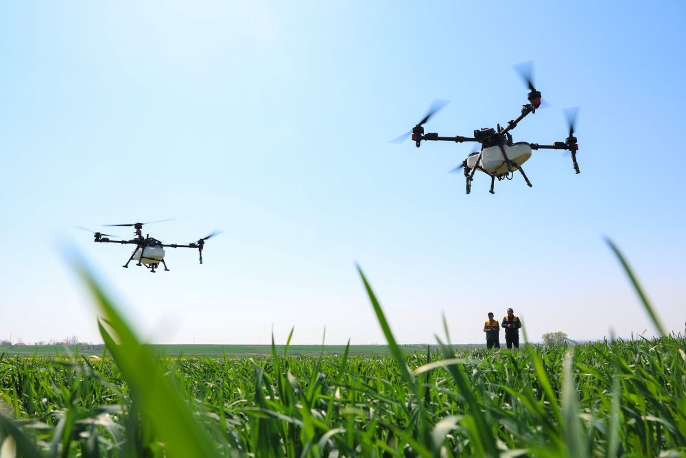 “鱼米之乡”万象新(图2)