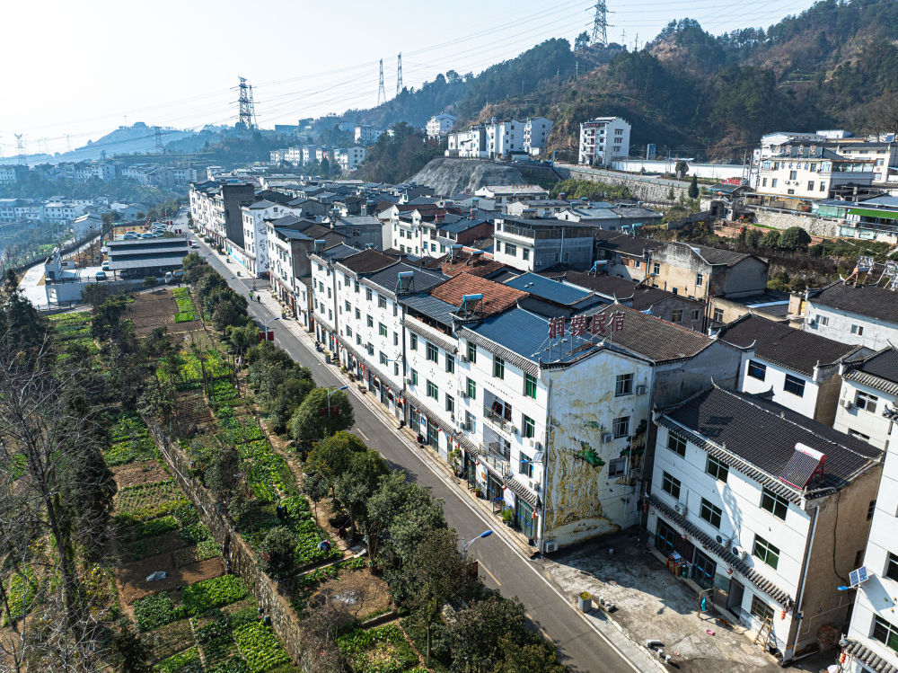 “鱼米之乡”万象新(图11)