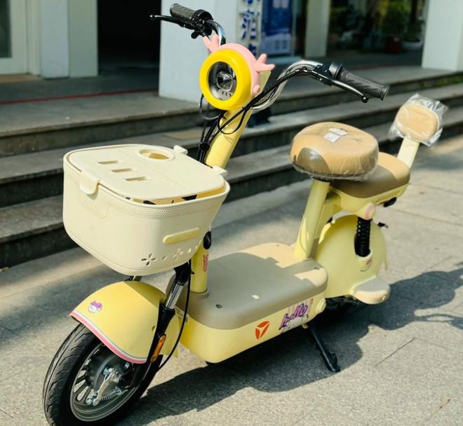 第1批新国标电动车上市雅迪、爱玛、台铃、绿源在内怎么选？(图1)