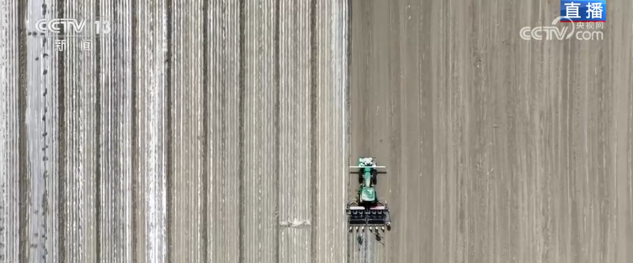 “北斗导航+智能播种+精准滴灌”显身手 新疆棉花以“硬科技”夯实“软实力”(图1)