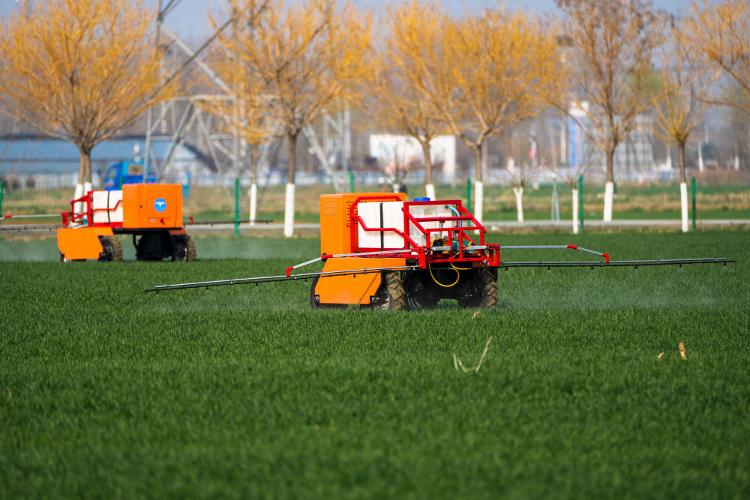 数智赋能：山东加快智慧农业发展(图1)