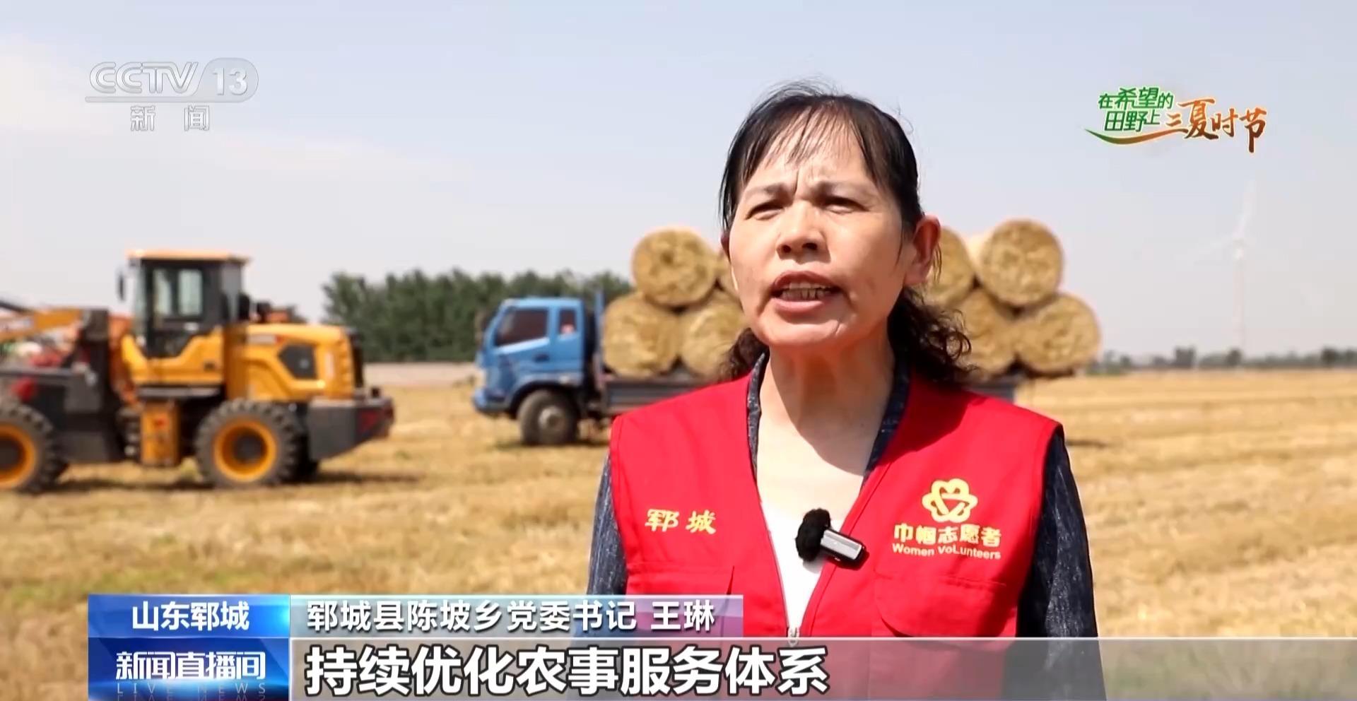 视频丨北斗导航播种、无人机巡田农田新质生产力跑出三夏“加速度”(图5)