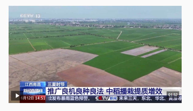 视频丨北斗导航播种、无人机巡田农田新质生产力跑出三夏“加速度”(图6)