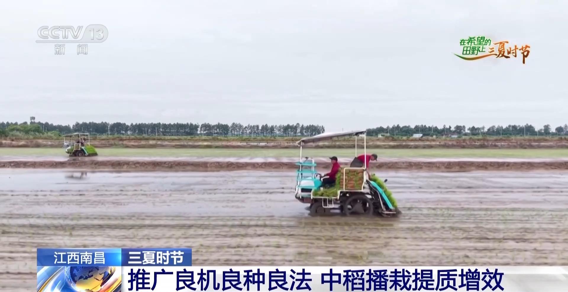 视频丨北斗导航播种、无人机巡田农田新质生产力跑出三夏“加速度”(图8)