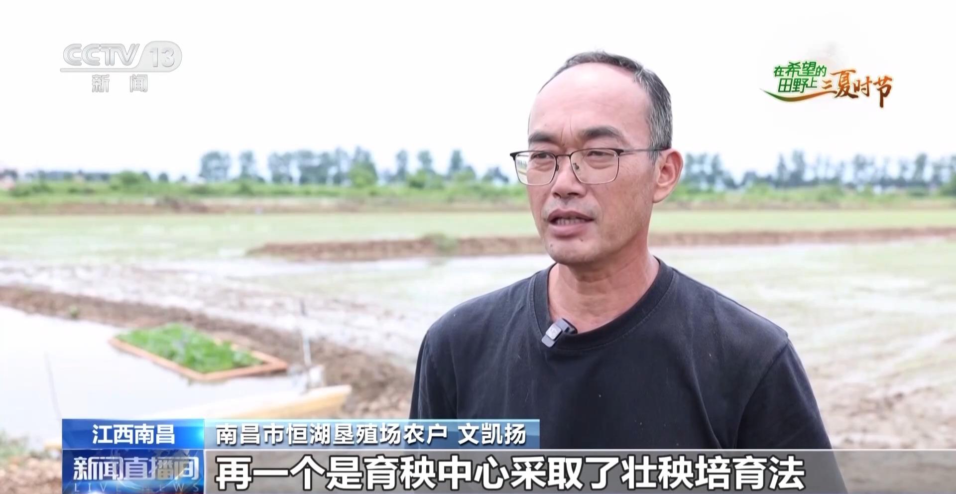 视频丨北斗导航播种、无人机巡田农田新质生产力跑出三夏“加速度”(图9)