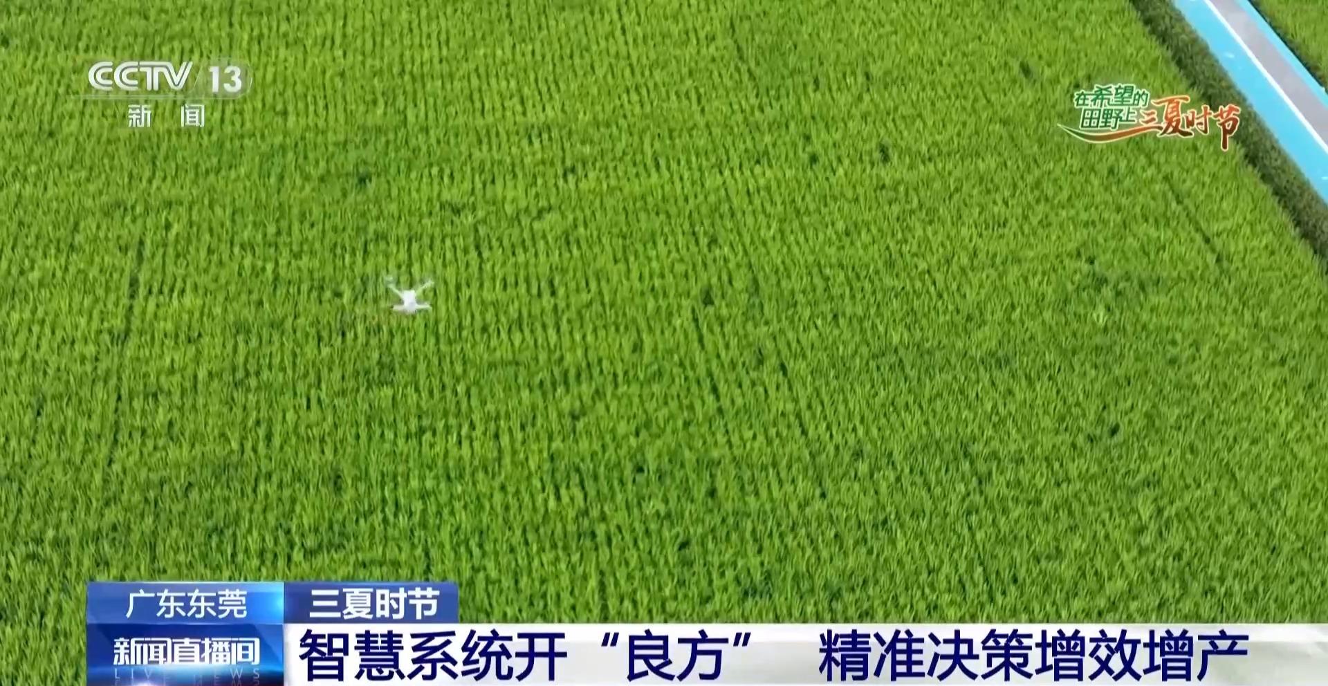 视频丨北斗导航播种、无人机巡田农田新质生产力跑出三夏“加速度”(图15)