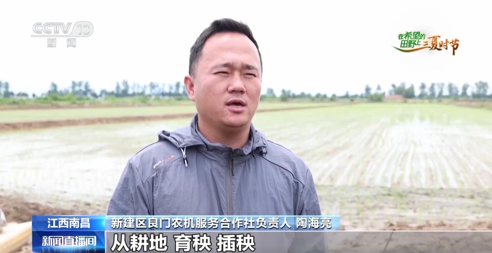视频丨北斗导航播种、无人机巡田农田新质生产力跑出三夏“加速度”(图11)