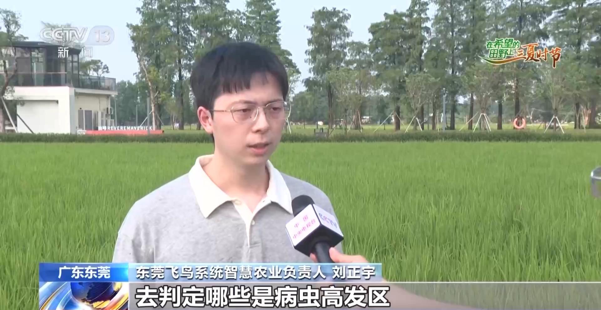 视频丨北斗导航播种、无人机巡田农田新质生产力跑出三夏“加速度”(图16)