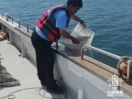 守护近海海洋生态！大连开展伏季休渔执法“清网”专项行动(图2)