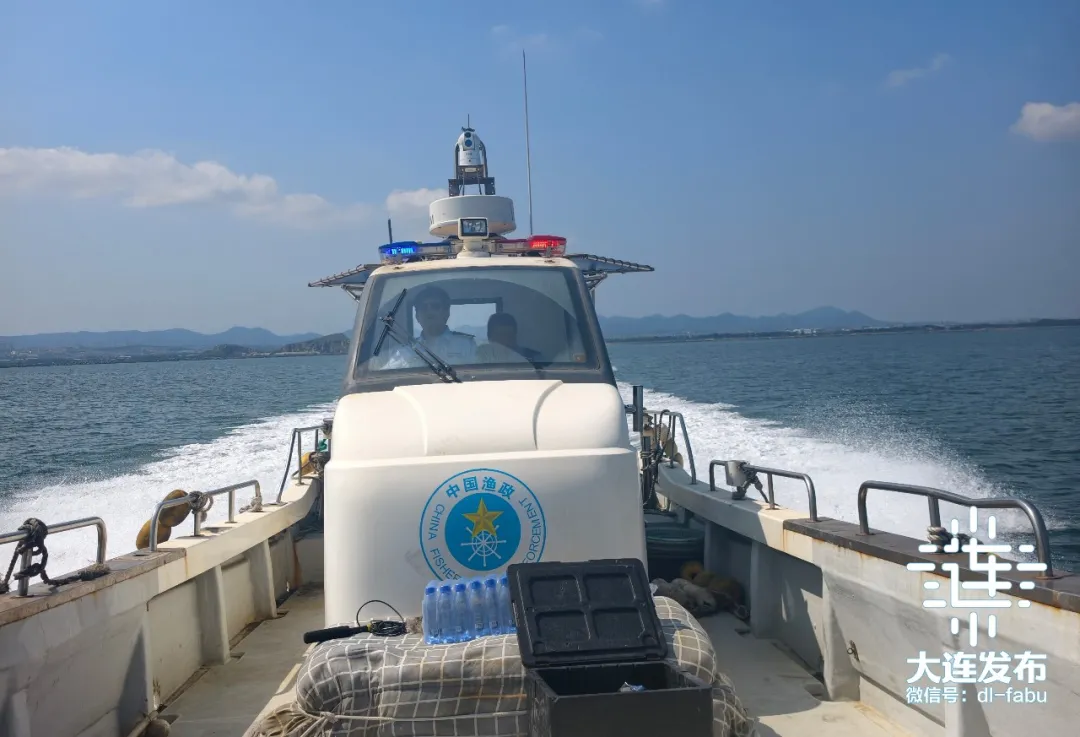 守护近海海洋生态！大连开展伏季休渔执法“清网”专项行动(图3)