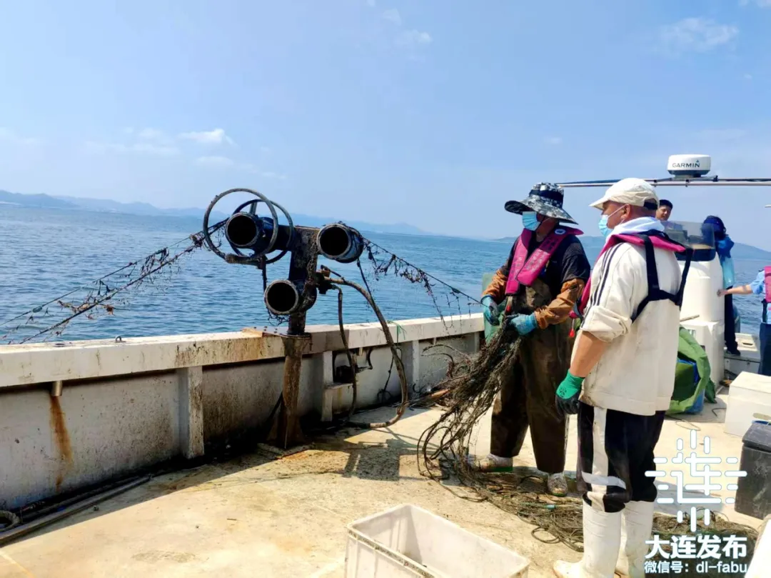 守护近海海洋生态！大连开展伏季休渔执法“清网”专项行动(图4)
