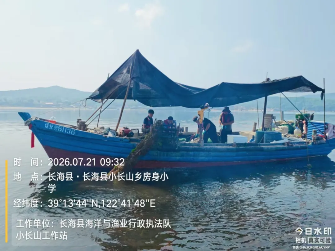 守护近海海洋生态！大连开展伏季休渔执法“清网”专项行动(图5)